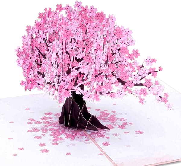 3D Pop-Up Körsbärsblomningskort (med kuvert)