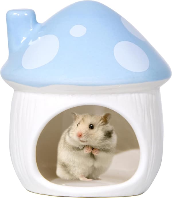 Keramisk gjemmested for hamster, tilbehør til små kjæledyr (blå)