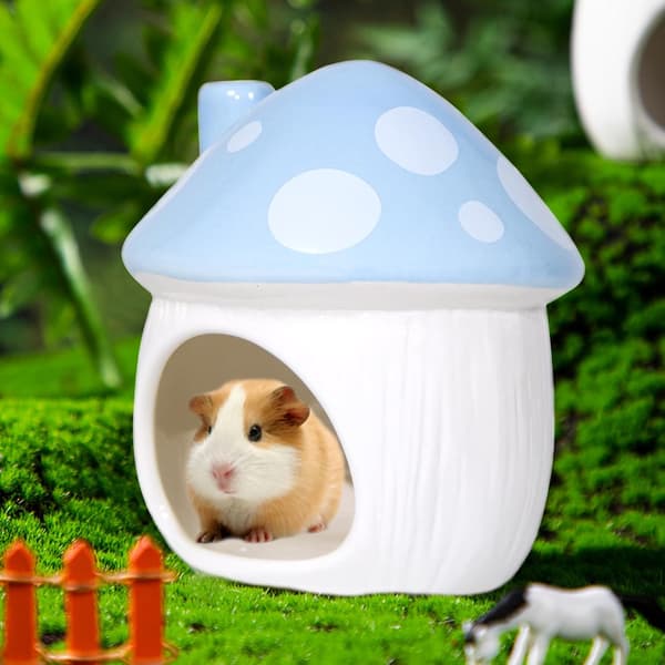Keramisk gjemmested for hamster, tilbehør til små kjæledyr (blå)