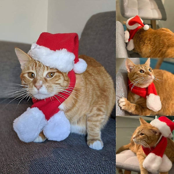 Julehatt med skjerf til katt - Julekostyme sett for valp hund katt julehatt