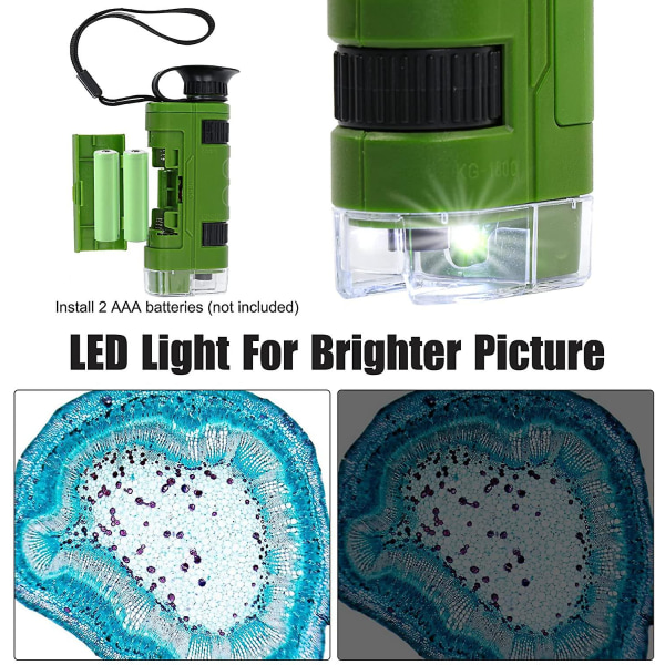80~120x handhållet mikroskop för barn och nybörjare, bärbart minimikroskop (grön)
