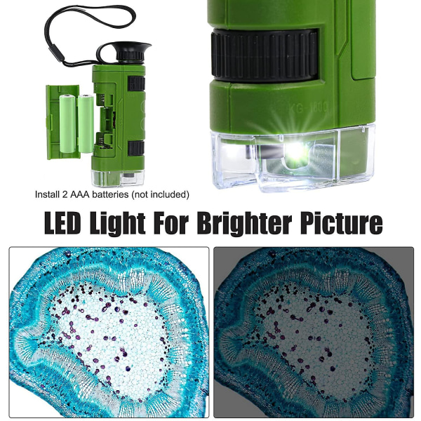 80~120x Håndholdt Mikroskop Til Børn Og Begyndere, Bærbar Mini Mikroskop (grøn)