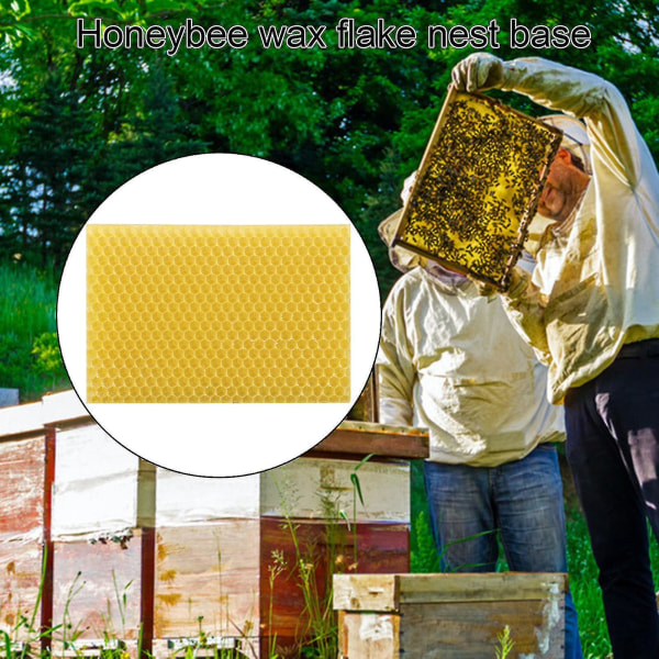 10 st Bivax Foundation Bikupa vaxramar Basplattor Bee Comb Honungsram Bivaxlakan Biodlarutrustning A
