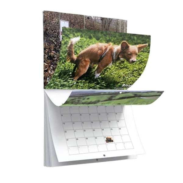 Hundepudsende vægkalender Sjove 2024 hunde med smukke steder Kalender til 2024 familieplanlægger