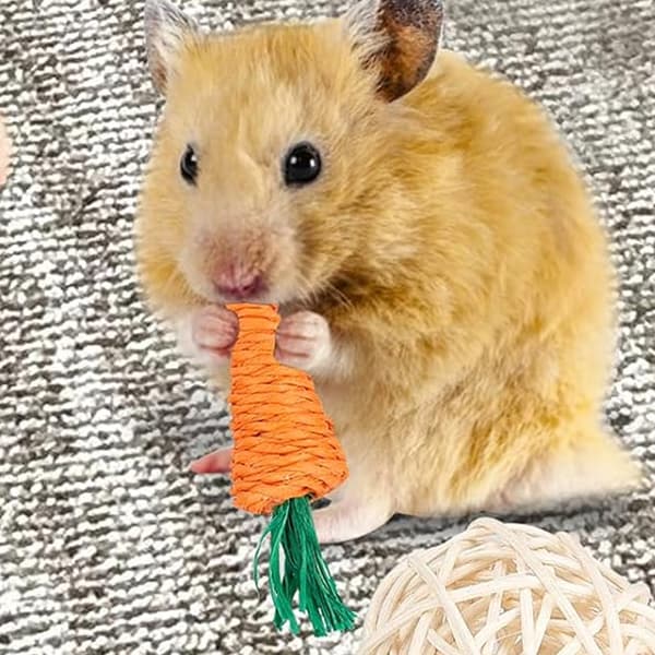 1 stk. Hamsterleketøysett - B92107 - 11 deler - som vist