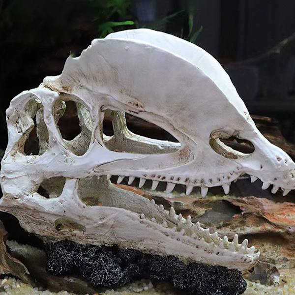 Simulering Resin Skull Ornaments DIY Aquarium Fish Tank Decora 2 2