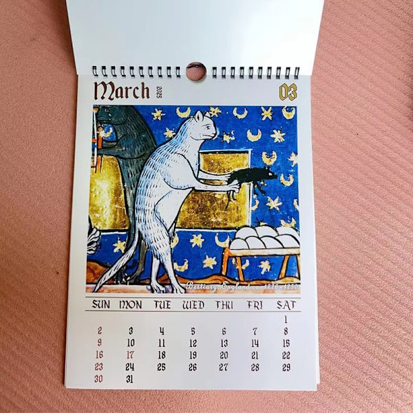 2025 WeirdMedieval Cats Kalender - QuirkyArt Firar Katter cat