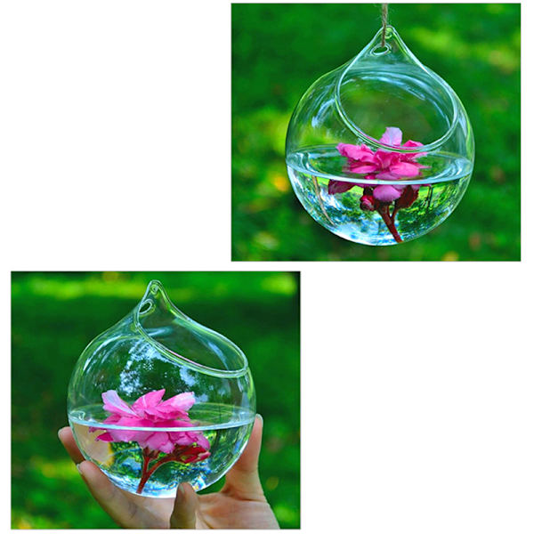 Hanging Ball Glass Flower er Vas Terrarium Container Landscape Transparent L
