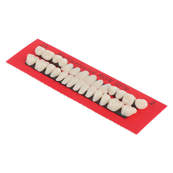 28 stk Akrylharpiks Protese Øvre Nedre Nyanse 23# A2 Dental one size