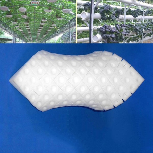 100 st Soilless Hydroponic Grönsaker Nursery Krukor Nursery Spo one size