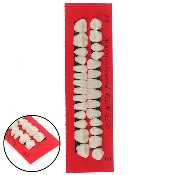 28 stk Akrylharpiks Protese Øvre Nedre Nyanse 23# A2 Dental one size
