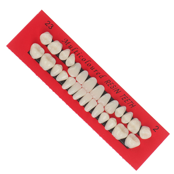 28 stk Akrylharpiks Protese Øvre Nedre Nyanse 23# A2 Dental one size