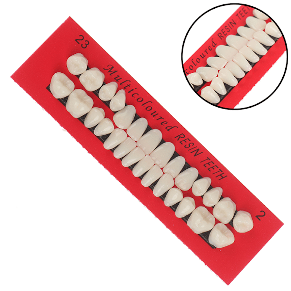 28 stk Akrylharpiks Protese Øvre Nedre Nyanse 23# A2 Dental one size