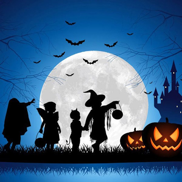 12 stk. Halloween dekoration 3D sort PVC flagermus Halloween fest  De one size