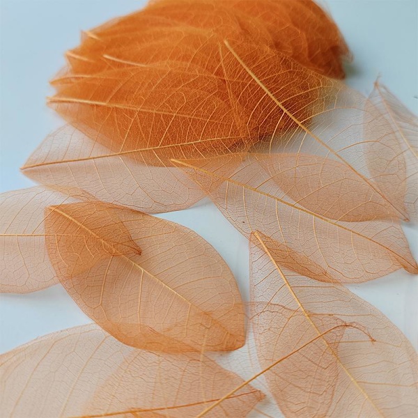 5~9CM*2~3.5CM Orange