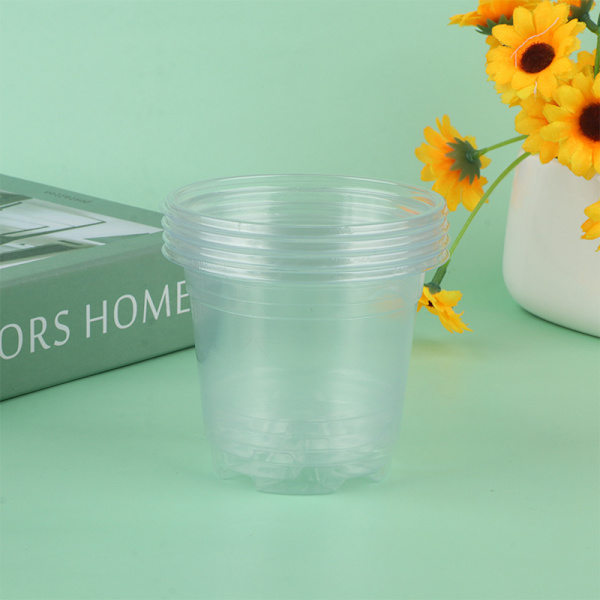 5 st Nursery Pot Transparent plast PET Stater Cups med Cov Transparent 5Pcs