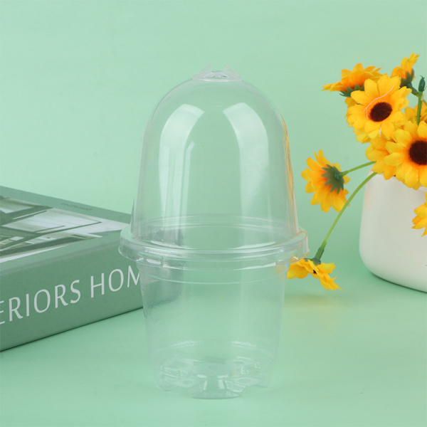 5 st Nursery Pot Transparent plast PET Stater Cups med Cov Transparent 5Pcs