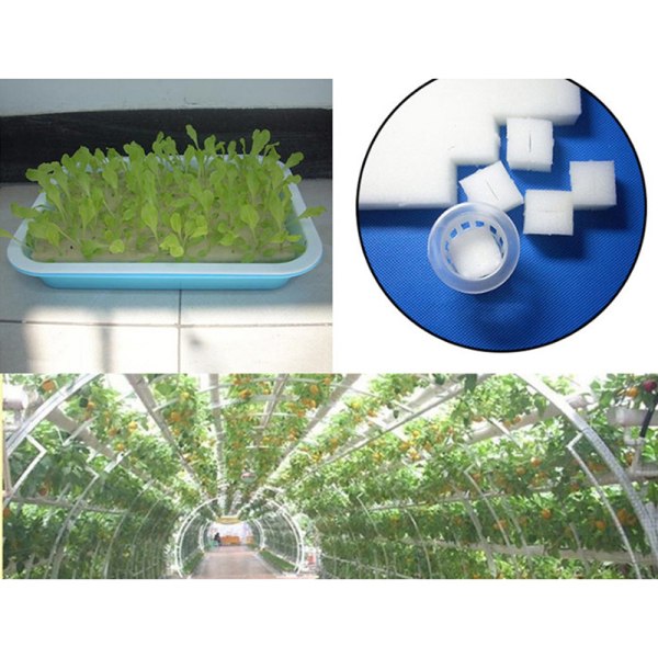 100 st Soilless Hydroponic Grönsaker Nursery Krukor Nursery Spo one size