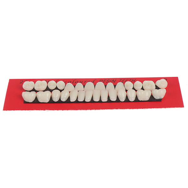 28 stk Akrylharpiks Protese Øvre Nedre Nyanse 23# A2 Dental one size