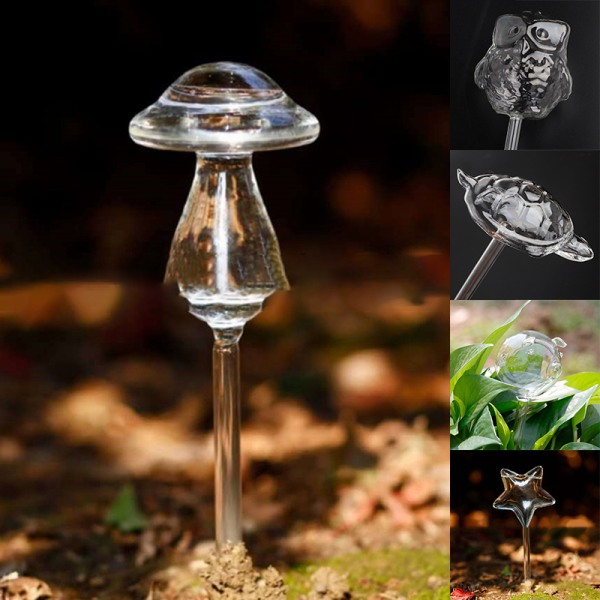 11 Typer Glas Blommor Vattenmatare Automatisk självbevattning De Transparent 11