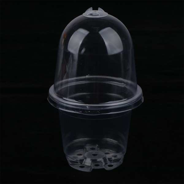 5 st Nursery Pot Transparent plast PET Stater Cups med Cov Transparent 5Pcs