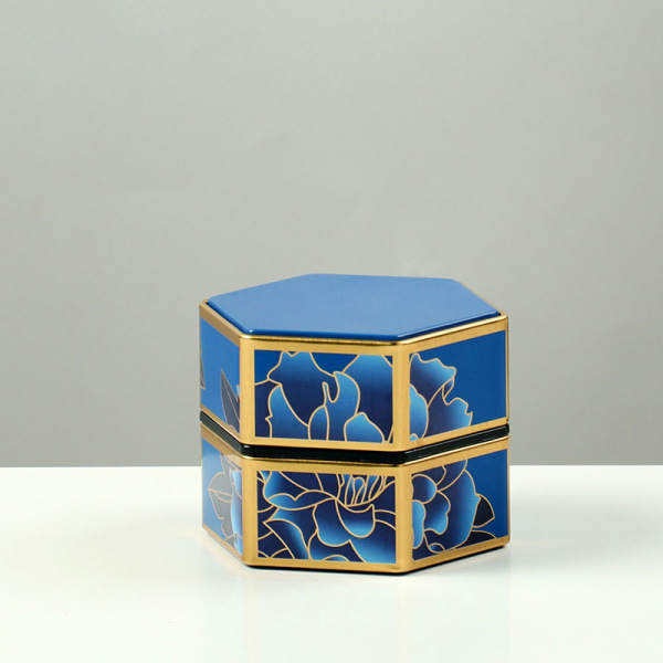 Hexagonal plåt förvaringslåda Lufttät behållare case för StyleH S StyleH S
