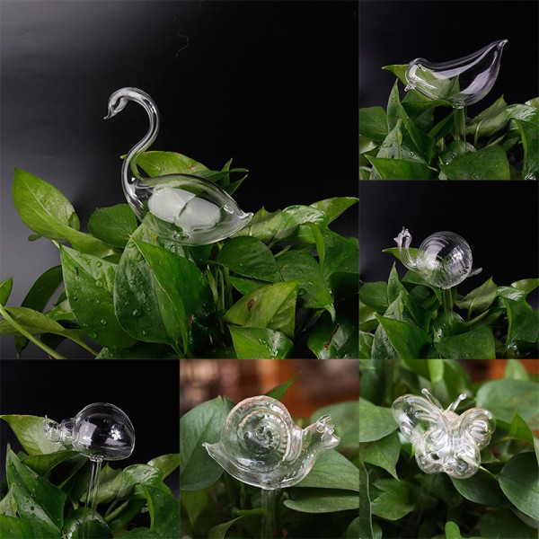 11 Typer Glas Blommor Vattenmatare Automatisk självbevattning De Transparent 11