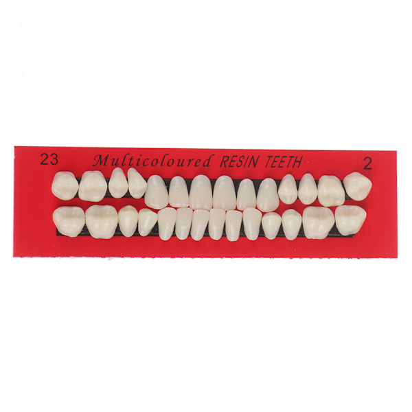 28 stk Akrylharpiks Protese Øvre Nedre Nyanse 23# A2 Dental one size