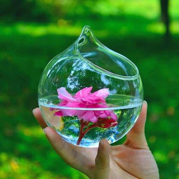 Hanging Ball Glass Flower er Vas Terrarium Container Landscape Transparent L