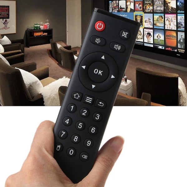 Tanix Tx6 Fjärrkontroll för Android TV Box Tanix Tx5 Max Tx3 Max Mini Tx92 H6 (AM4)