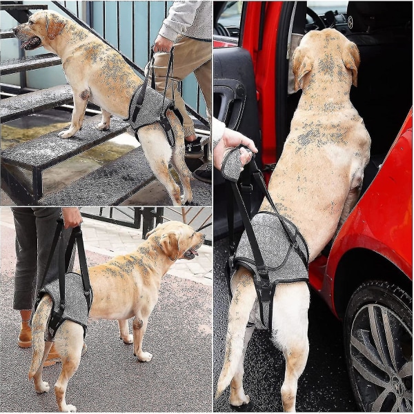 Koiran nostovaljaat, koiran tukivaljaat selkäjaloille, pehmeä koiran tukihihna loukkaantuneille vammaisille (FMY) XL