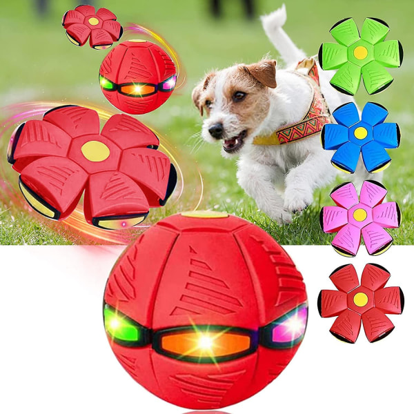 2023 Ny husdjursleksak flygande tefatsboll, flygande tefatboll hundleksak, husdjursleksaksflygande tefat, med 6 LED-ljus