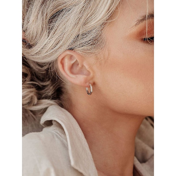 Hoopörhängen i Sterling Silver 15mm Små Hoops för Kvinnor Hypoallergena Sovörhängen (FMY)