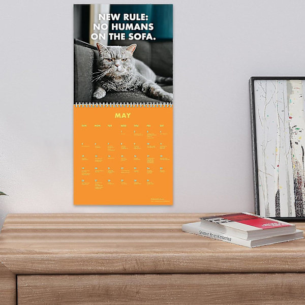 2024 Pissed-off Cats Kalender, Rolig Kattväggkalender, 12 Månader Kattkalender, Rolig Sassy Semesterpresent För Kattälskare (FMY) 1Pcs