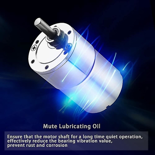 DC 12V 100RPM Växelmotor Högt Vridmoment Elektrisk Mini Hastighetsreducerande Växelmotor Excentrisk Utgångsaxel (FMY)