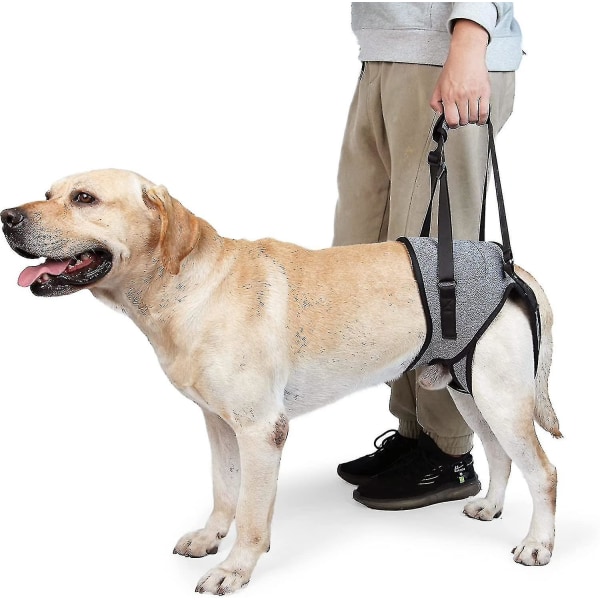 Koiran nostovaljaat, koiran tukivaljaat selkäjaloille, pehmeä koiran tukihihna loukkaantuneille vammaisille (FMY) XL