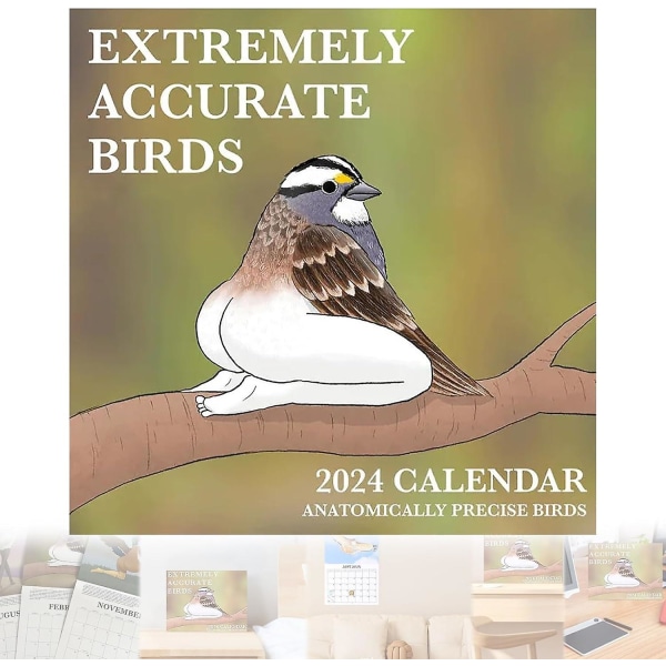 Erittäin tarkka Birds Calendar-2024 Funny Wall Calendars Monthly Planner (FMY)