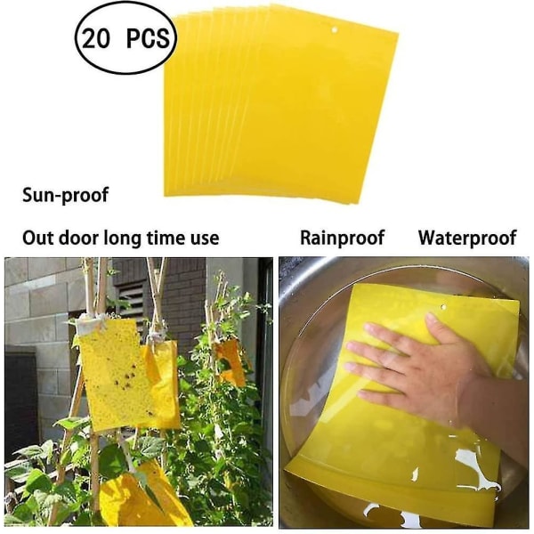 Paket med 20 gula klistermärken, gula pluggar mot körsbärsfruktfluga, gula fälla flugfälla för trädgårdsväxtskydd och skadedjursbekämpning  (FMY)