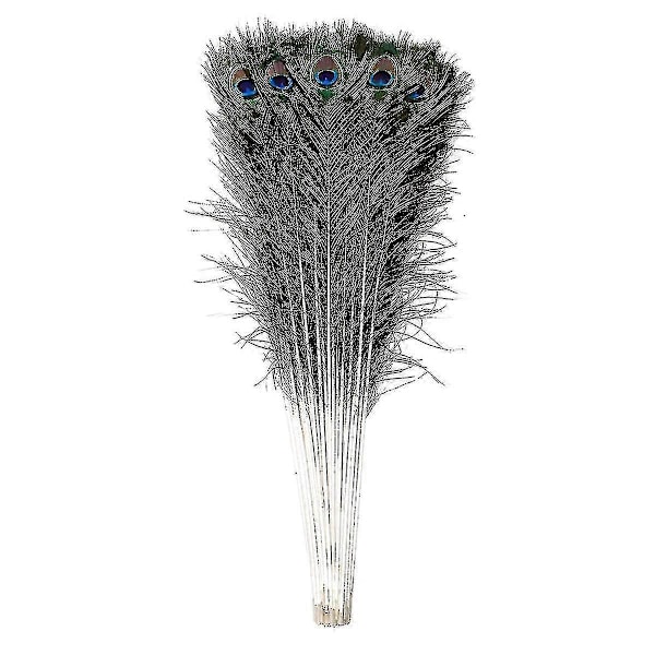 Luonnolliset suuret pavipääskyjen höyhenet koristeluun (FMY) 10 pcs x Large  40-50cm