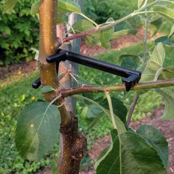 Fruit Tree Branch Limb Spridare Hjälp fruktträd att växa från centrala stammen för att sprida grenvinklar grenar hög kvalitet (FMY) 10pcs