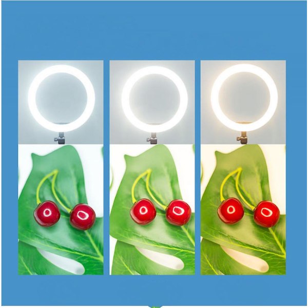 26 cm suoratoistona täytettävä LED-valokuvatäyttölamppu (FMY)