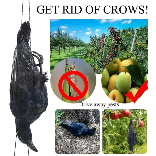 Realistic Hanging Dead Crow Decoy Lifesize Extra Large Black Feathered Crow (FMY)
