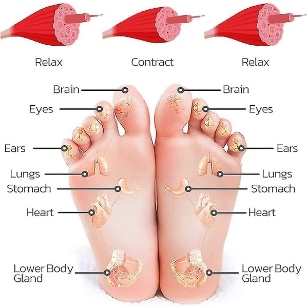 Bioelektrisk Akupunkturpunkt Massager Matte, Fod Akupunkturpunkt Stimulator Massage Matte, Bio- Akupunkturpunkt Massager Matte, Fod Cirkulation Matte Kropsmassager Mac (FMY)