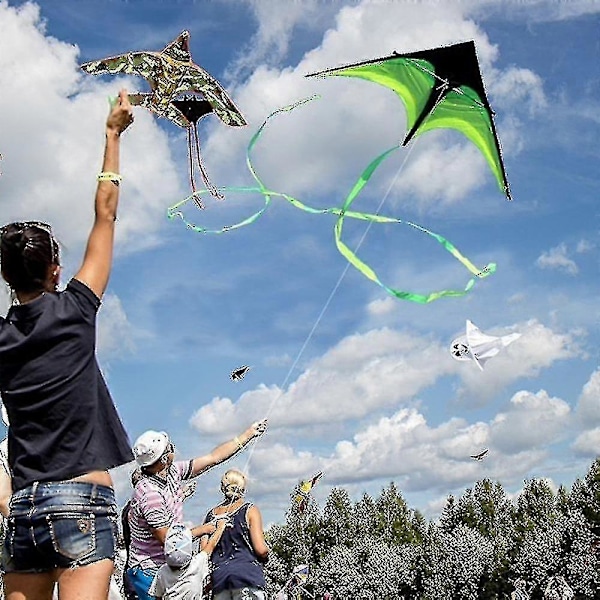 160cm Superstor Draklinje, Trickdrakar Flygning, Lång Svans Utomhuslek (75% rabatt)_FE06 (FMY)