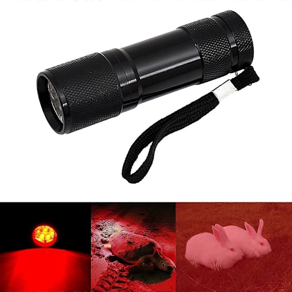 9-led Röd Ljusstråle 670 Nm Röd Ficklampa Mot Försämrad Syn Fackla (FMY)