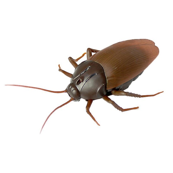Barneleker Morsomme Rc Infrarøde kakerlakker Fjernkontroll Mock Fake Animal (FMY)