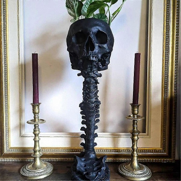 Resin Kranial Plantekasse & Rygrad Stand Sæt, Polyresin Kranier Potte, Halloween Dekoration Retro Menneskekranie Hoved Blomst (FMY) Black