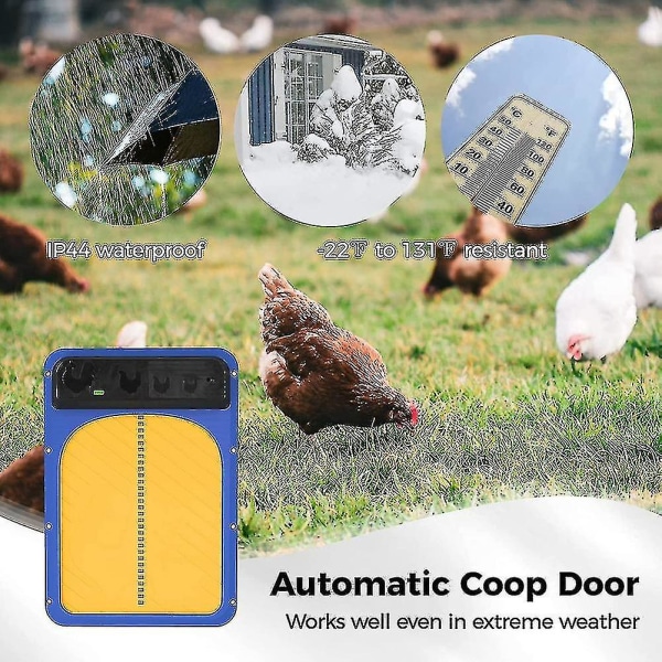 Automatisk kycklingdörr, automatisk kycklingdörr och öppen morgon, för kycklingfjäderfäfarm (FMY)