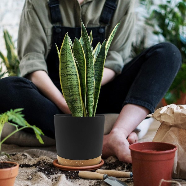 Set med 2 krukor 16 cm, växtkrukor inomhus med dräneringshål och avtagbar bas, modernt dekorativt fat för plantering utomhus (svart 16 cm) (FMY)