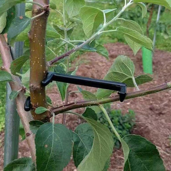 Fruit Tree Branch Limb Spridare Hjälp fruktträd att växa från centrala stammen för att sprida grenvinklar grenar hög kvalitet (FMY) 1PCS